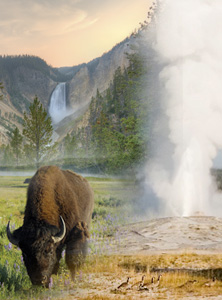 Yellowstone National Park, Wyoming